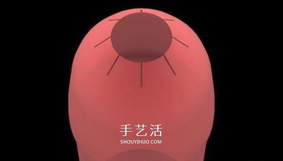 水火箭制作方法图解 自制水火箭的设计与制作(图5) 水火箭制作方法图解 自制水火箭的设计与制作(图5)