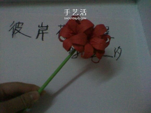 彼岸花的折法步骤图解 详细折纸彼岸花的过程(图24) 彼岸花的折法步骤图解 详细折纸彼岸花的过程(图24)