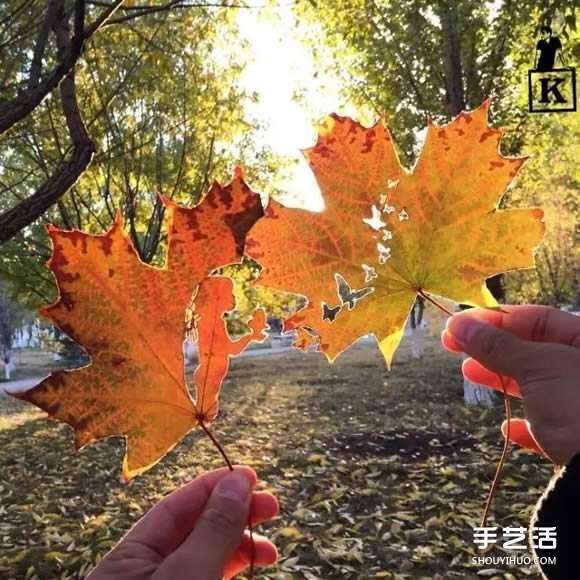 叶子切割画作品图片 精美手工叶切画图片欣赏(图5) 叶子切割画作品图片 精美手工叶切画图片欣赏(图5)