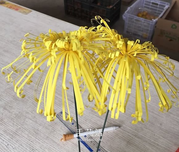 重阳节大菊花的制作方法 简单又美丽!(图6) 重阳节大菊花的制作方法 简单又美丽!(图6)