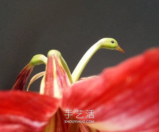 花儿还可以这样玩!创意让花儿变得这么有趣(图3) 花儿还可以这样玩!创意让花儿变得这么有趣(图3)
