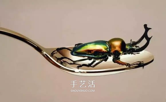 真没糊弄你!韩国画家一笔一笔画的超写实画(图6) 真没糊弄你!韩国画家一笔一笔画的超写实画(图6)