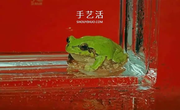 真没糊弄你!韩国画家一笔一笔画的超写实画(图4) 真没糊弄你!韩国画家一笔一笔画的超写实画(图4)