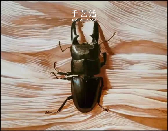 真没糊弄你!韩国画家一笔一笔画的超写实画(图11) 真没糊弄你!韩国画家一笔一笔画的超写实画(图11)