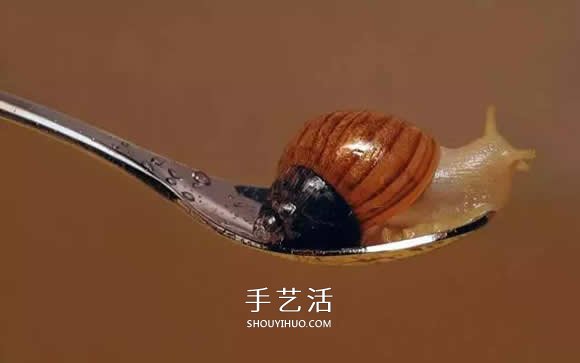 真没糊弄你!韩国画家一笔一笔画的超写实画(图15) 真没糊弄你!韩国画家一笔一笔画的超写实画(图15)