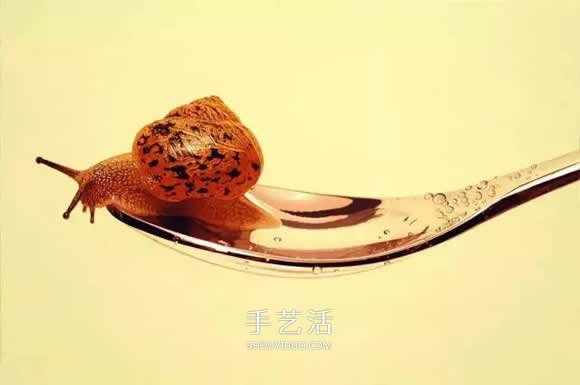 真没糊弄你!韩国画家一笔一笔画的超写实画(图16) 真没糊弄你!韩国画家一笔一笔画的超写实画(图16)