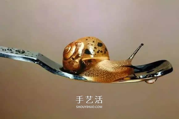 真没糊弄你!韩国画家一笔一笔画的超写实画(图17) 真没糊弄你!韩国画家一笔一笔画的超写实画(图17)