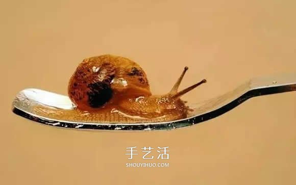真没糊弄你!韩国画家一笔一笔画的超写实画(图19) 真没糊弄你!韩国画家一笔一笔画的超写实画(图19)