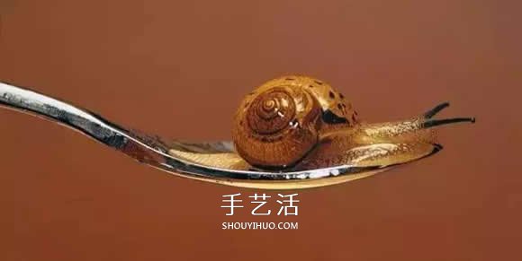 真没糊弄你!韩国画家一笔一笔画的超写实画(图18) 真没糊弄你!韩国画家一笔一笔画的超写实画(图18)