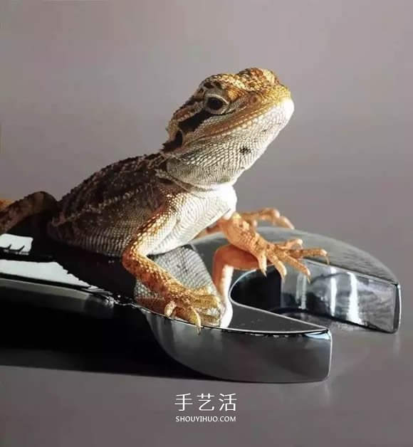 真没糊弄你!韩国画家一笔一笔画的超写实画(图22) 真没糊弄你!韩国画家一笔一笔画的超写实画(图22)