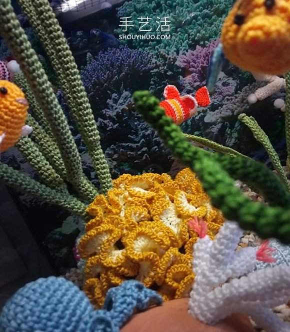 她钩织海洋生物,制作出一个逼真的水族馆(图4) 她钩织海洋生物,制作出一个逼真的水族馆(图4)