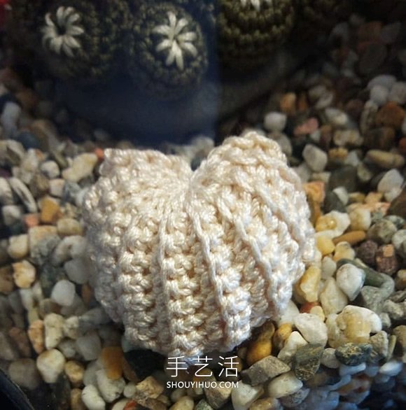她钩织海洋生物,制作出一个逼真的水族馆(图6) 她钩织海洋生物,制作出一个逼真的水族馆(图6)