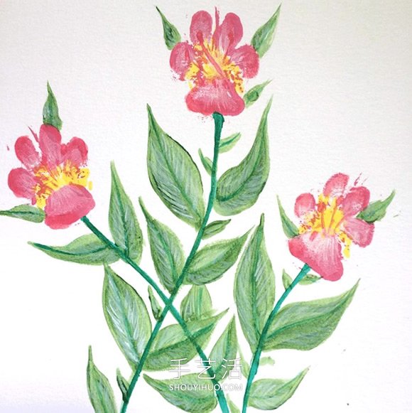 宠物主人用狗的脚爪画出漂亮的花朵画(图2) 宠物主人用狗的脚爪画出漂亮的花朵画(图2)