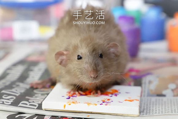 才华横溢的老鼠创作的微型画,被抢购一空!(图8) 才华横溢的老鼠创作的微型画,被抢购一空!(图8)