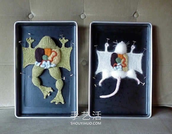 动物解剖针织作品！将解剖场面变成可爱展示 - 诺云双维造物网