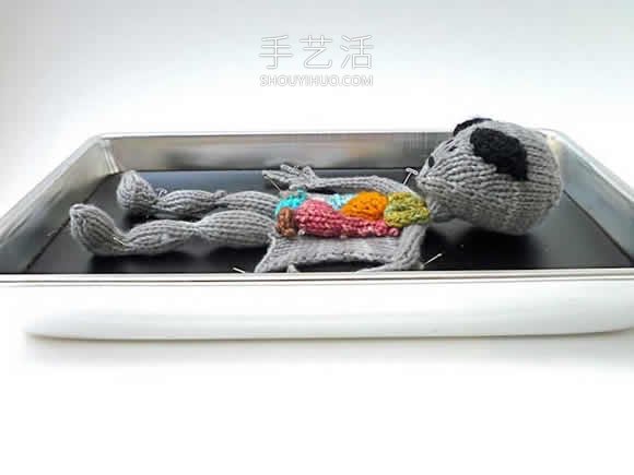 动物解剖针织作品!将解剖场面变成可爱展示(图10) 动物解剖针织作品!将解剖场面变成可爱展示(图10)