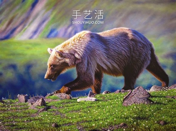 仿佛会跃出画布!逼真画作捕捉野生动物之美(图7) 仿佛会跃出画布!逼真画作捕捉野生动物之美(图7)
