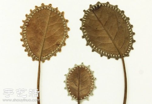 枯叶+创意+DIY 手工制作精妙工艺品(图3)