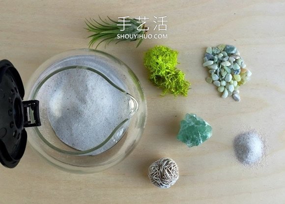 旧咖啡壶改造 DIY制作空气植物盆景的方法(图2)