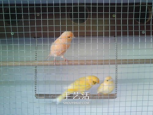 旧书架改造鸟柜的方法 旧家具DIY制作超大鸟笼(图8)