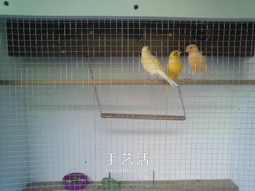旧书架改造鸟柜的方法 旧家具DIY制作超大鸟笼(图7)