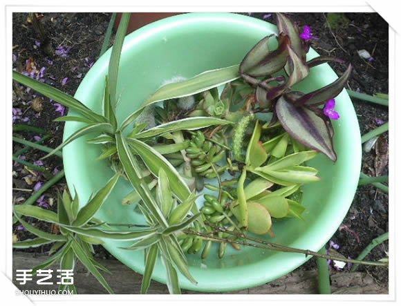 旧玩具手工改制花园里的“面包房”花盆架(图12) 旧玩具手工改制花园里的“面包房”花盆架(图12)