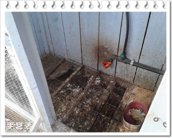鸡舍改造成鸟舍的方法 自制大空间鸟舍DIY教程(图3) 鸡舍改造成鸟舍的方法 自制大空间鸟舍DIY教程(图3)