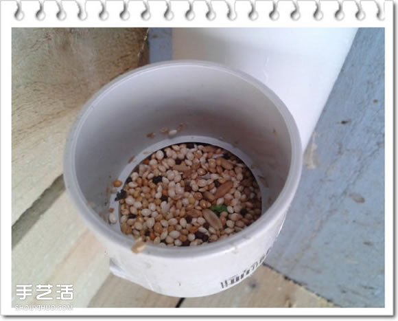 鸡舍改造成鸟舍的方法 自制大空间鸟舍DIY教程(图14) 鸡舍改造成鸟舍的方法 自制大空间鸟舍DIY教程(图14)