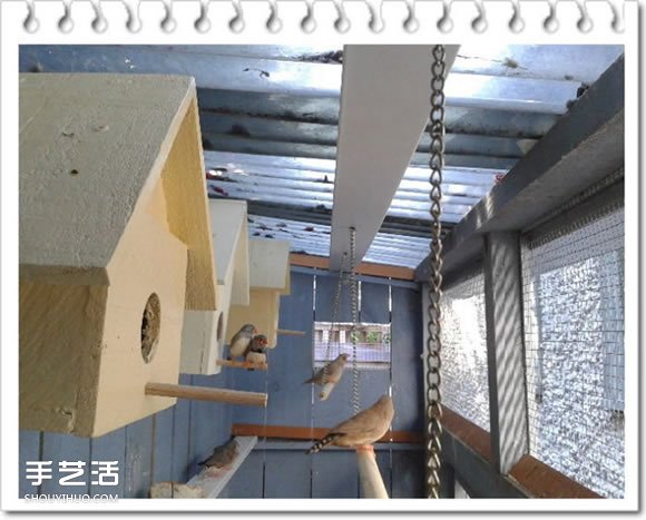 鸡舍改造成鸟舍的方法 自制大空间鸟舍DIY教程(图20) 鸡舍改造成鸟舍的方法 自制大空间鸟舍DIY教程(图20)