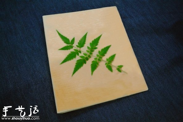 叶片印染DIY，制作小清新书本封面(图3)