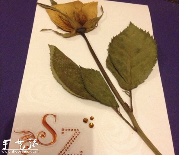 DIY干花裱框标本，干花裱框标本制作方法(图6)
