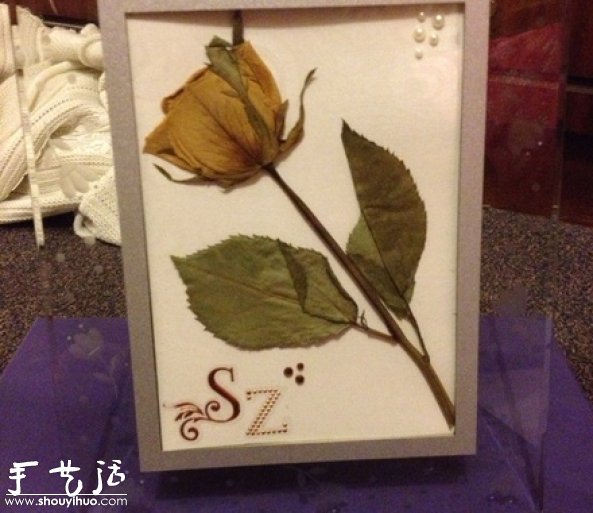 DIY干花裱框标本，干花裱框标本制作方法(图8)