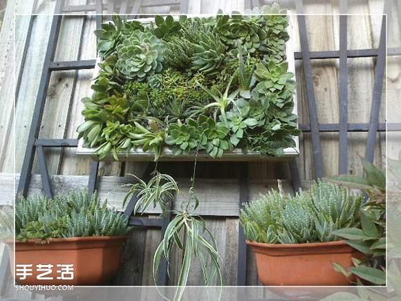 镜框改造多肉植物花盆 创意多肉花盆DIY方法(图1)