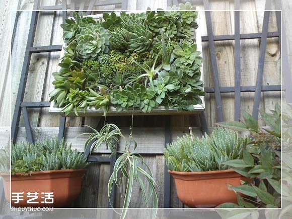 镜框改造多肉植物花盆 创意多肉花盆DIY方法(图15)