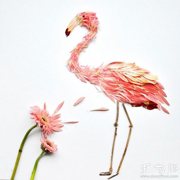 鲜花花瓣和植物枝干DIY的鸟类(图3)