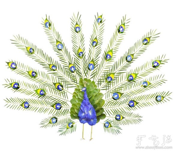 鲜花花瓣和植物枝干DIY的鸟类(图4)