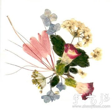 押花手工DIY方法(图2) 押花手工DIY方法(图2)