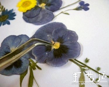 押花手工DIY方法(图6) 押花手工DIY方法(图6)
