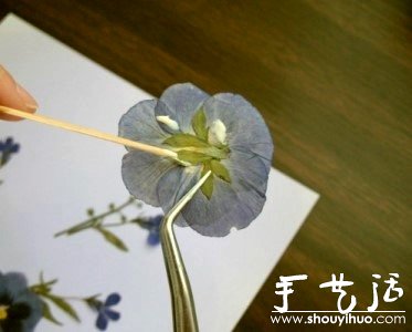 押花手工DIY方法(图5) 押花手工DIY方法(图5)
