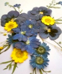 押花手工DIY方法(图8) 押花手工DIY方法(图8)