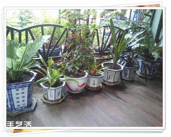 铁架子废物利用 DIY手工制作搁置花盆的架子(图7) 铁架子废物利用 DIY手工制作搁置花盆的架子(图7)