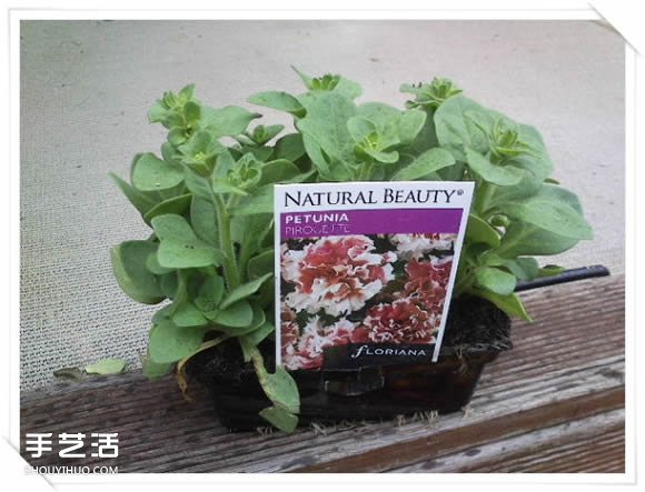铁架DIY花盆架子图解 旧玩具废物利用做花盆架(图10) 铁架DIY花盆架子图解 旧玩具废物利用做花盆架(图10)