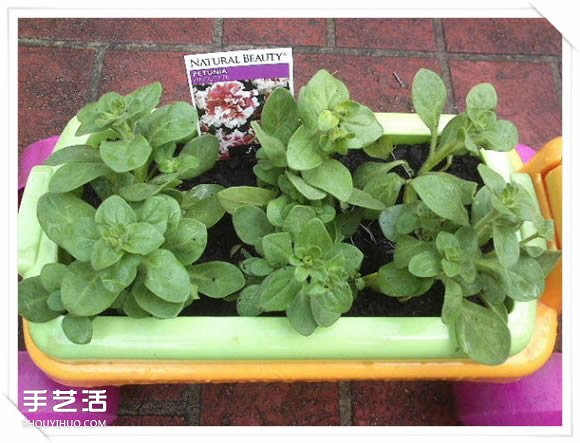 铁架DIY花盆架子图解 旧玩具废物利用做花盆架(图12) 铁架DIY花盆架子图解 旧玩具废物利用做花盆架(图12)