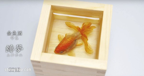 可怜小金鱼被透明树脂封存?别哭,你再仔细看(图3) 可怜小金鱼被透明树脂封存?别哭,你再仔细看(图3)