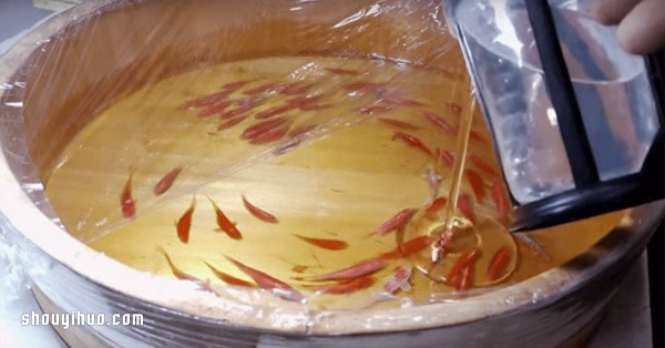 可怜小金鱼被透明树脂封存?别哭,你再仔细看(图6) 可怜小金鱼被透明树脂封存?别哭,你再仔细看(图6)