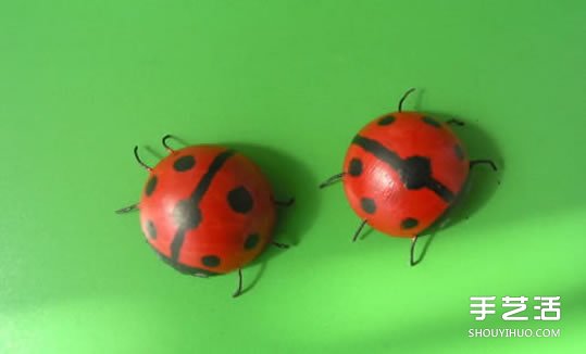 简单幼儿小手工:乒乓球制作七星瓢虫的方法(图1) 简单幼儿小手工:乒乓球制作七星瓢虫的方法(图1)