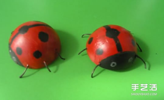 简单幼儿小手工:乒乓球制作七星瓢虫的方法(图10) 简单幼儿小手工:乒乓球制作七星瓢虫的方法(图10)