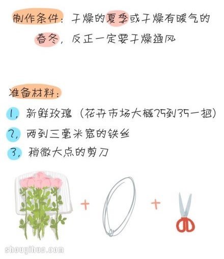 如何制作干花 干花制作方法图解教程(图2) 如何制作干花 干花制作方法图解教程(图2)