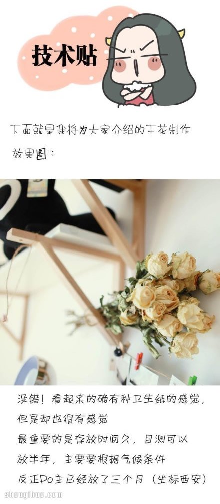如何制作干花 干花制作方法图解教程(图1) 如何制作干花 干花制作方法图解教程(图1)