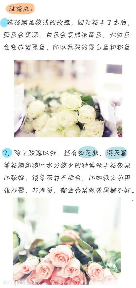 如何制作干花 干花制作方法图解教程(图3) 如何制作干花 干花制作方法图解教程(图3)